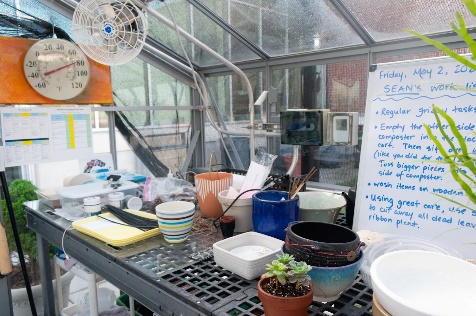 A table with a variety of pots and a white boardDescription automatically generated